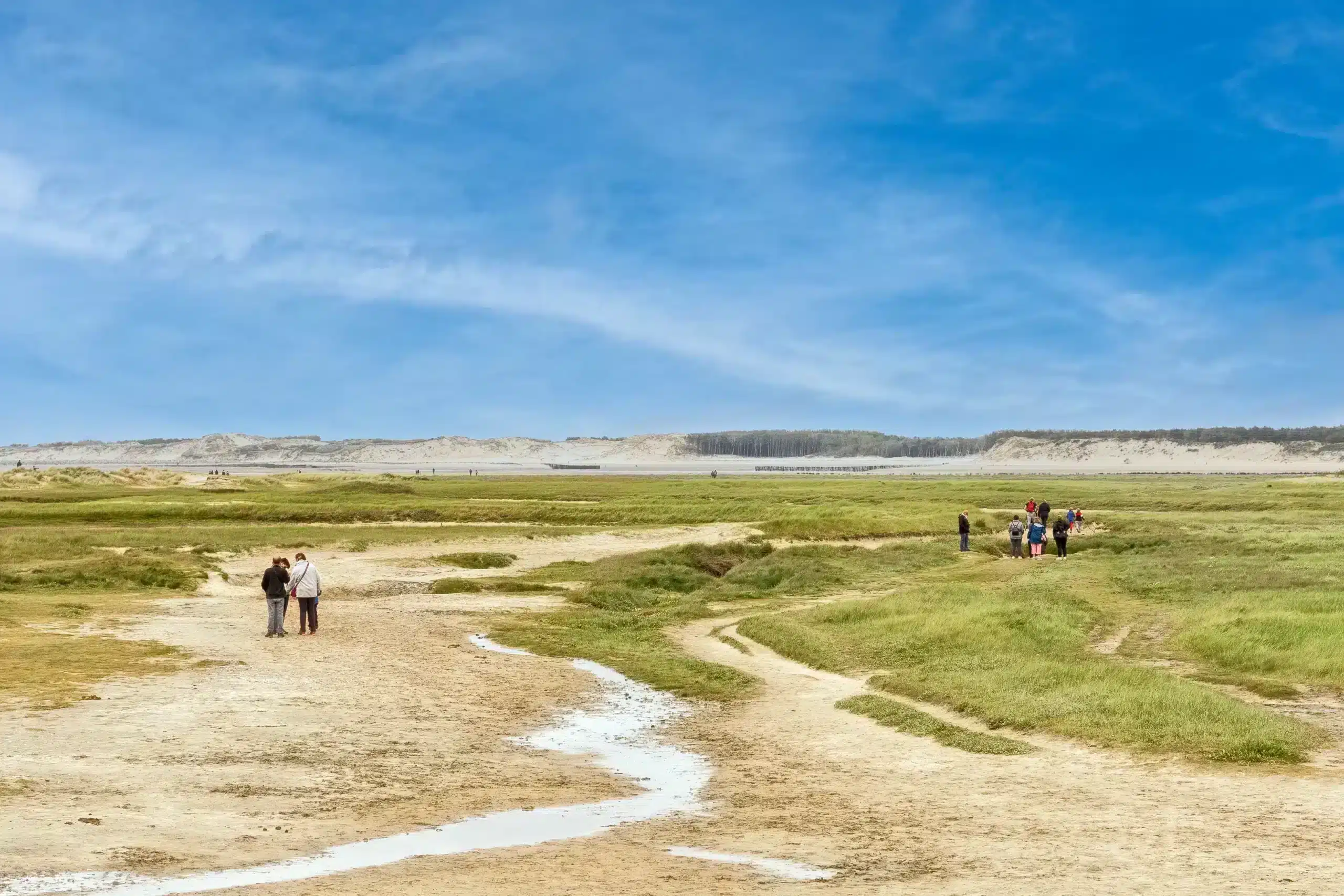 Des personnes marchent sur une grande plaine côtière.