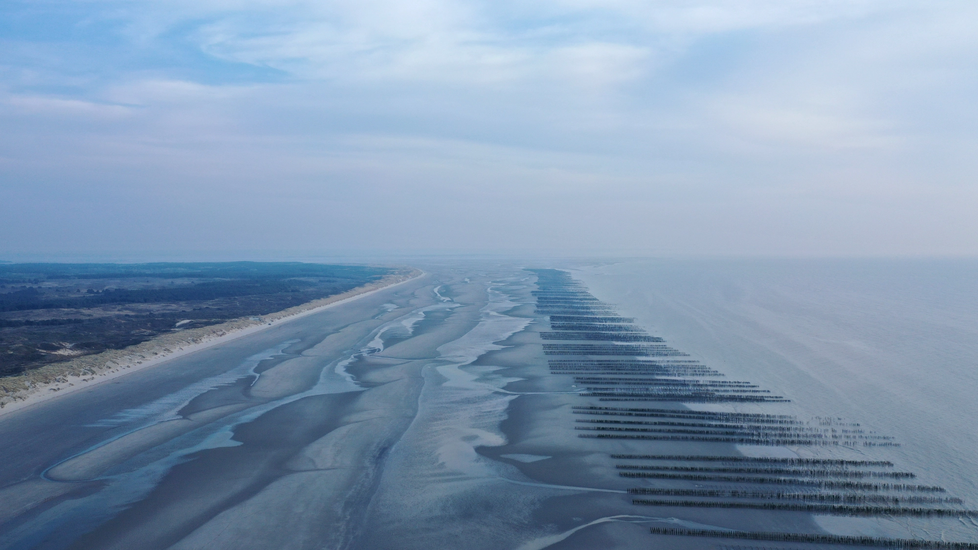 Vue aérienne d'une plage avec bancs de sable.
