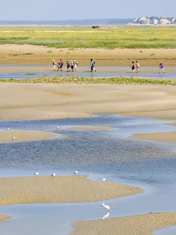Plage avec des personnes marchant sur le sable.