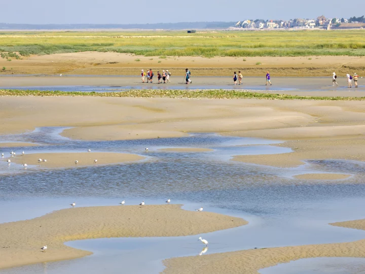 Plage avec des personnes marchant sur le sable.