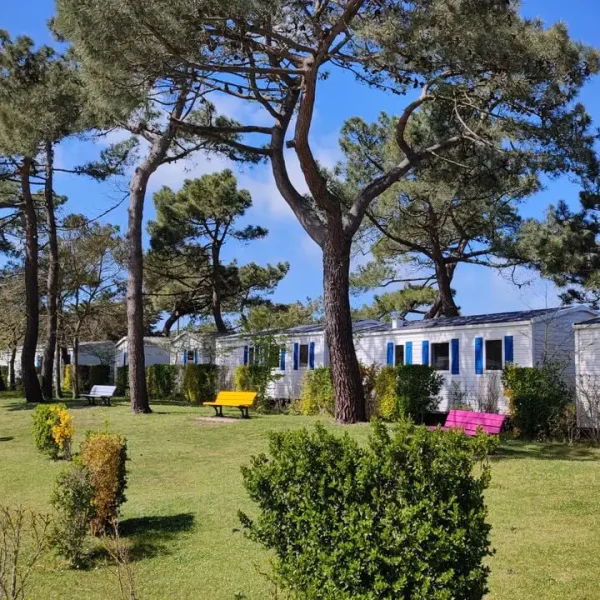 Au coeur de la Baie de Somme, à 800 mètre de la plage, le camping Paradis 3 étoiles Les Galets de la Mollière est installé sur une prairie arborée de 6 ha.