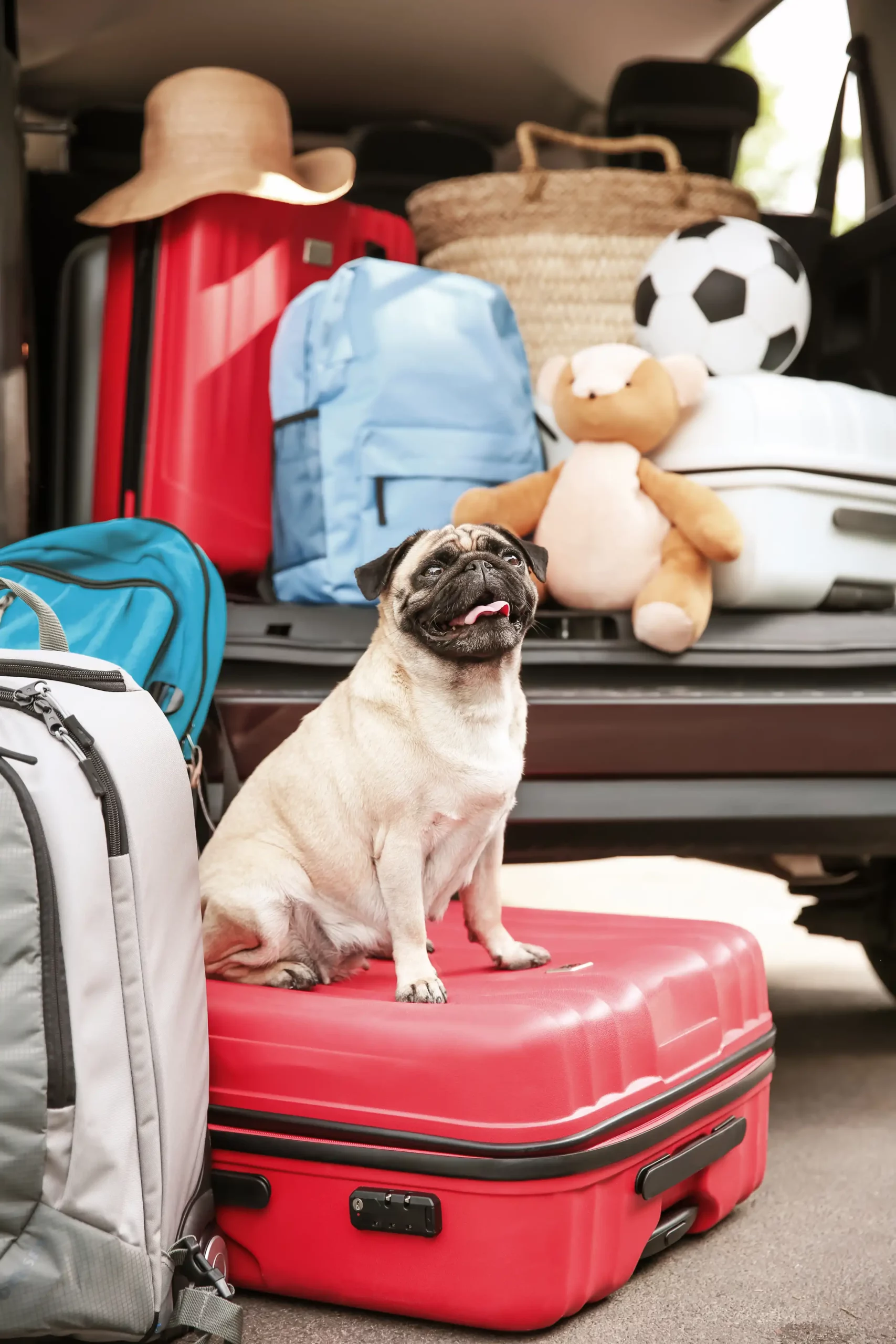 Nos offres de camping last minute s'adaptent à tous les budgets et à toutes les envies