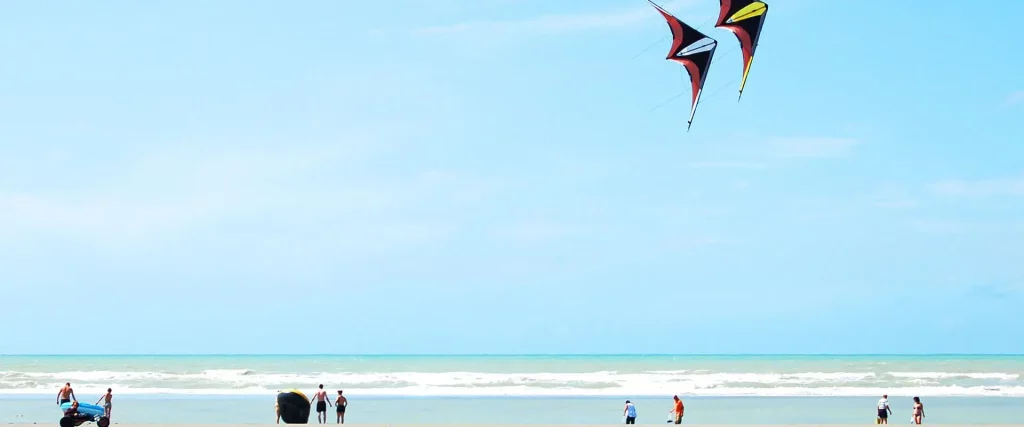 Cerfs-volants colorés au bord de la mer.