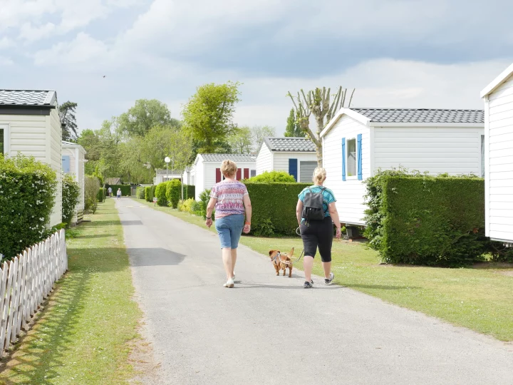 Promenade dans un camping avec un chien.