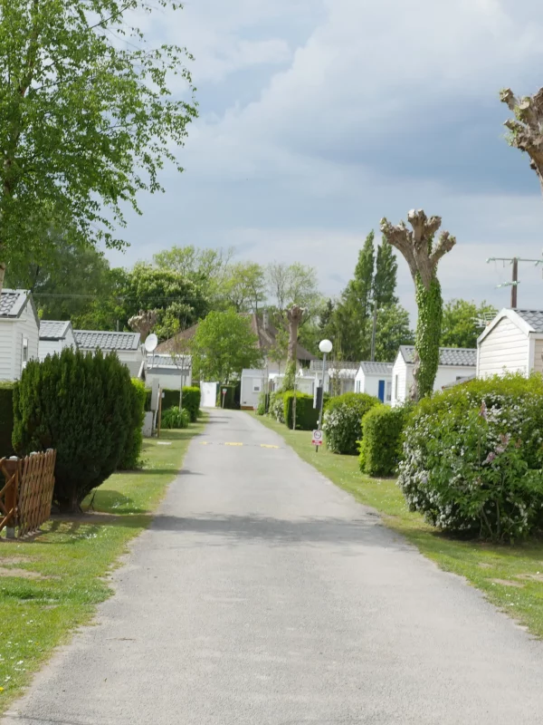 Allée bordée de mobil-homes et d'arbres.