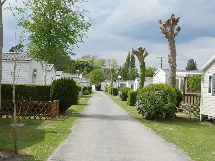 Allée bordée de mobil-homes et d'arbres.