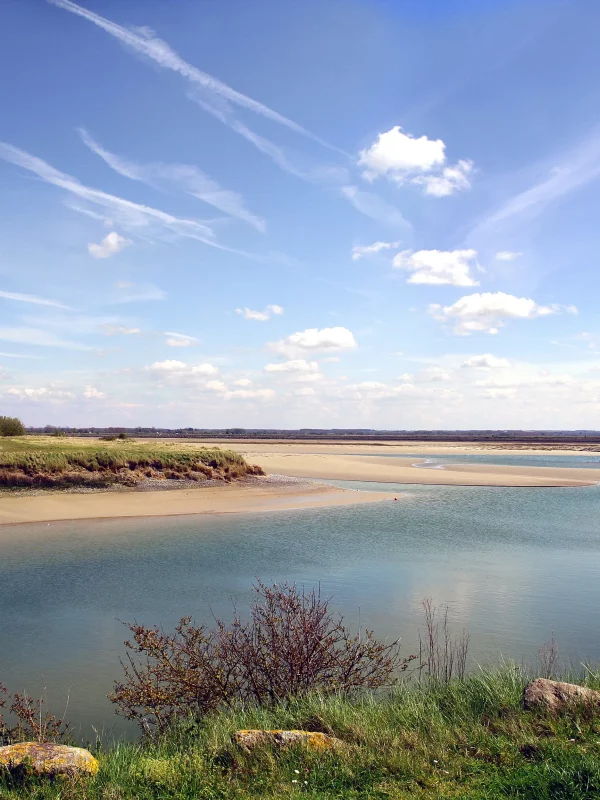Estuaire sableux sous ciel bleu avec nuages blancs.