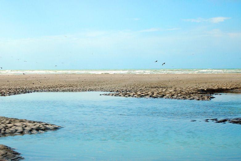 Plage avec étendue d'eau et ciel bleu