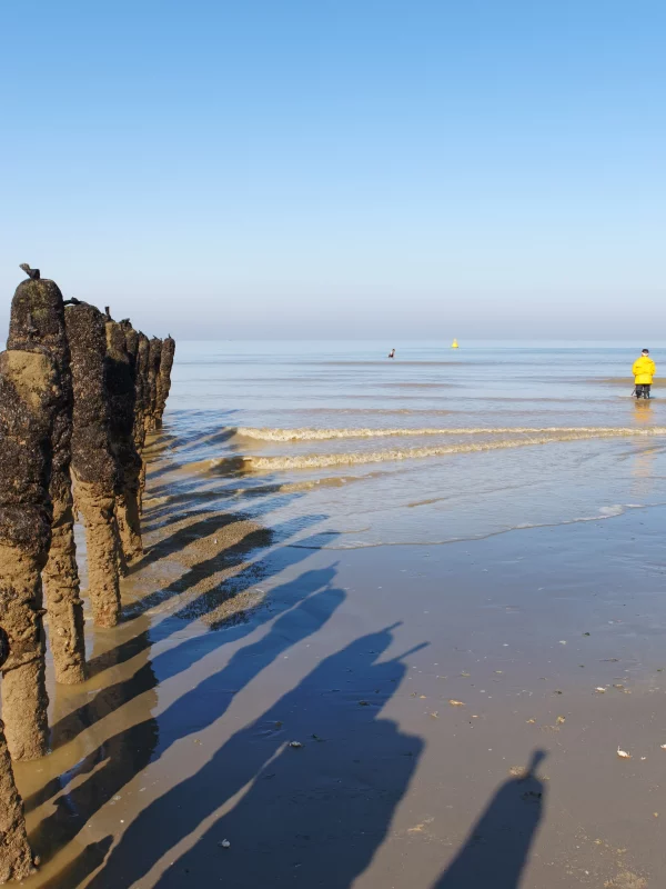Pieux en bois sur une plage au bord de mer.